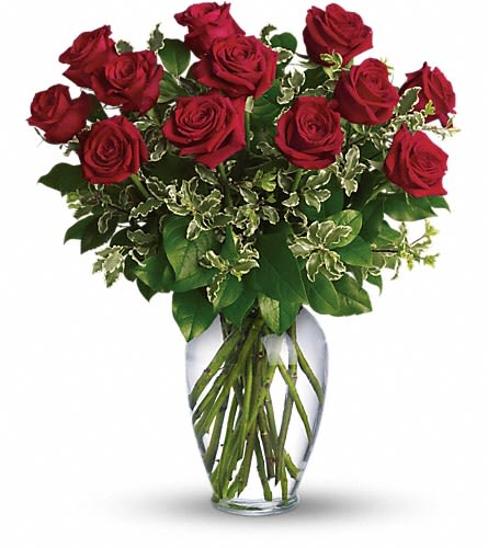 Long Stemmed Red Roses Long Stemmed Red Roses - A dozen gorgeous red roses are the perfect romantic gift to send to the one who's always on your mind and in your heart. Say "I love you" by sending this lovely arrangement of twelve radiant red roses and fresh greens delivered in a beautiful spring garden vase. Love always. Call the shop for additional colors available!