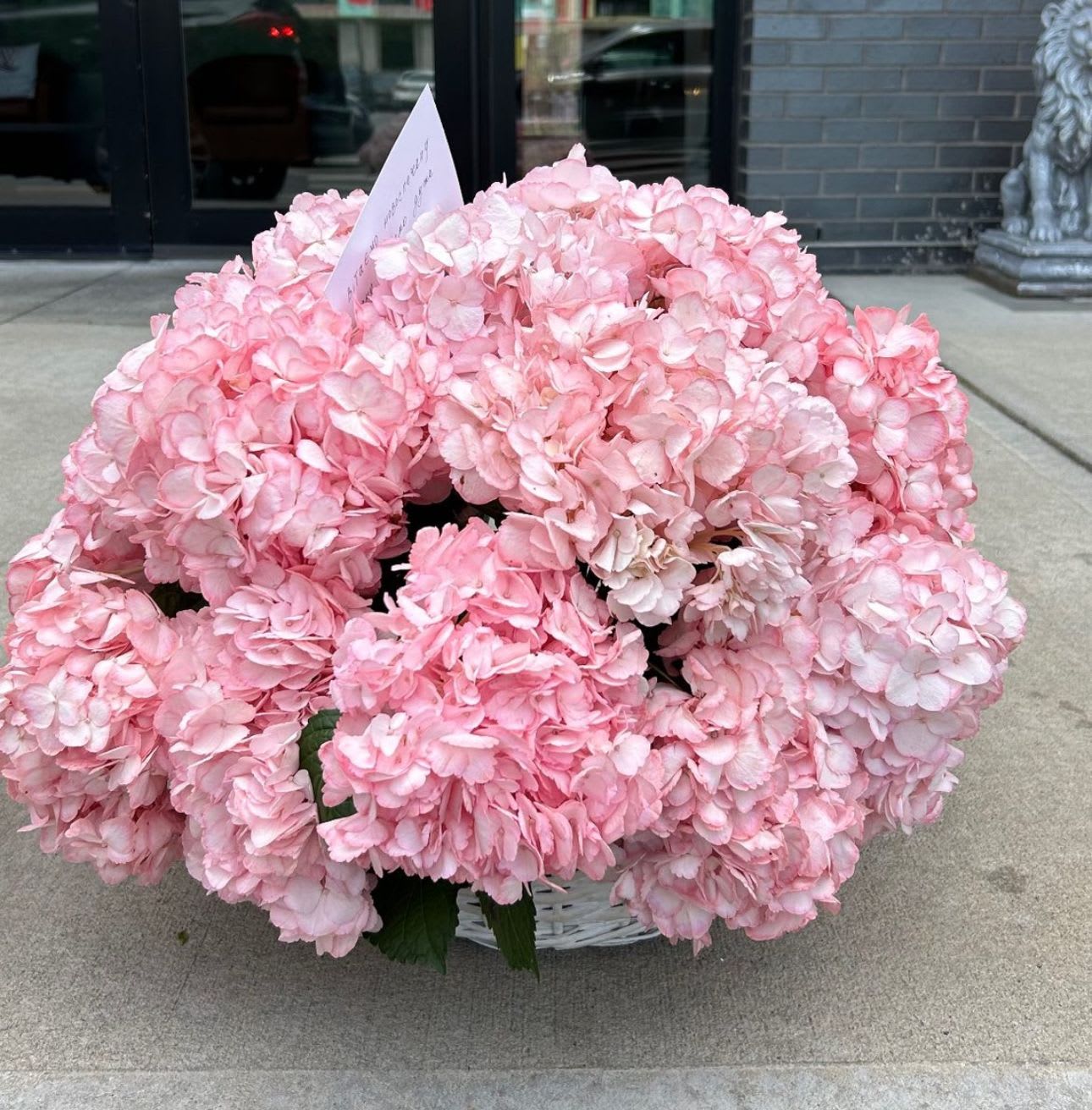 #67 Pink hydrangea basket  - Basket 