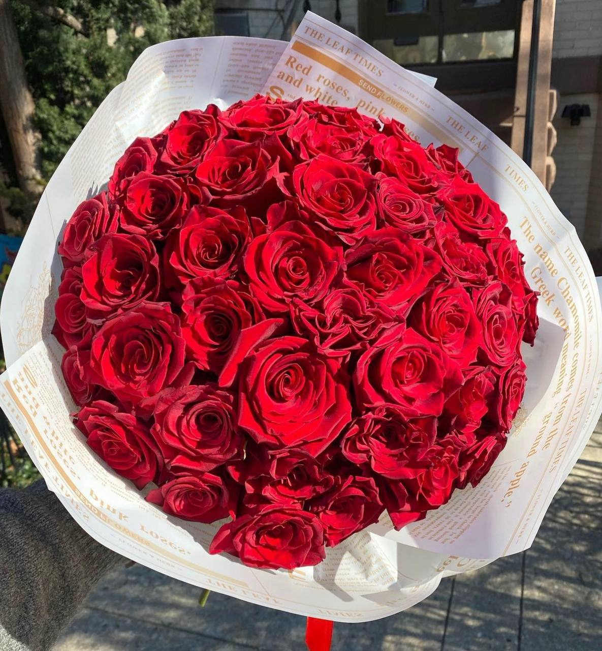 #86 Rosy Radiance - red roses with magazine white wrap