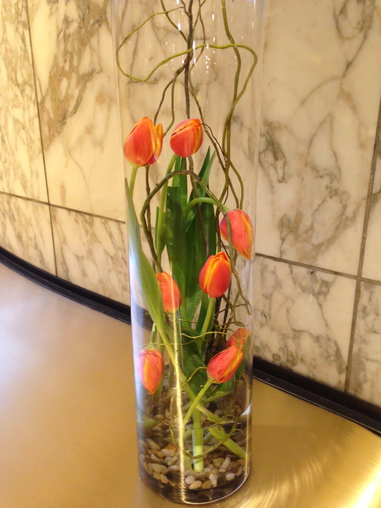 Tulip Ambience Tulip Ambience - This arrangement comes with beautiful tulips (Colors Vary) and all natural twigs Also has river rocks on the bottom
