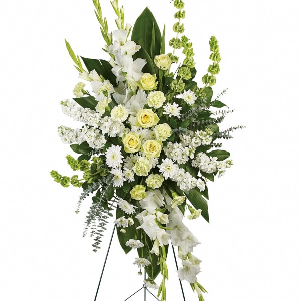 Magnificent Life Spray - This gorgeous array of green roses, green carnations, white gladioli, white stock, white cushion spray chrysanthemums and bells of Ireland is accented with green ti leaves, spiral eucalyptus and lemon leaf.