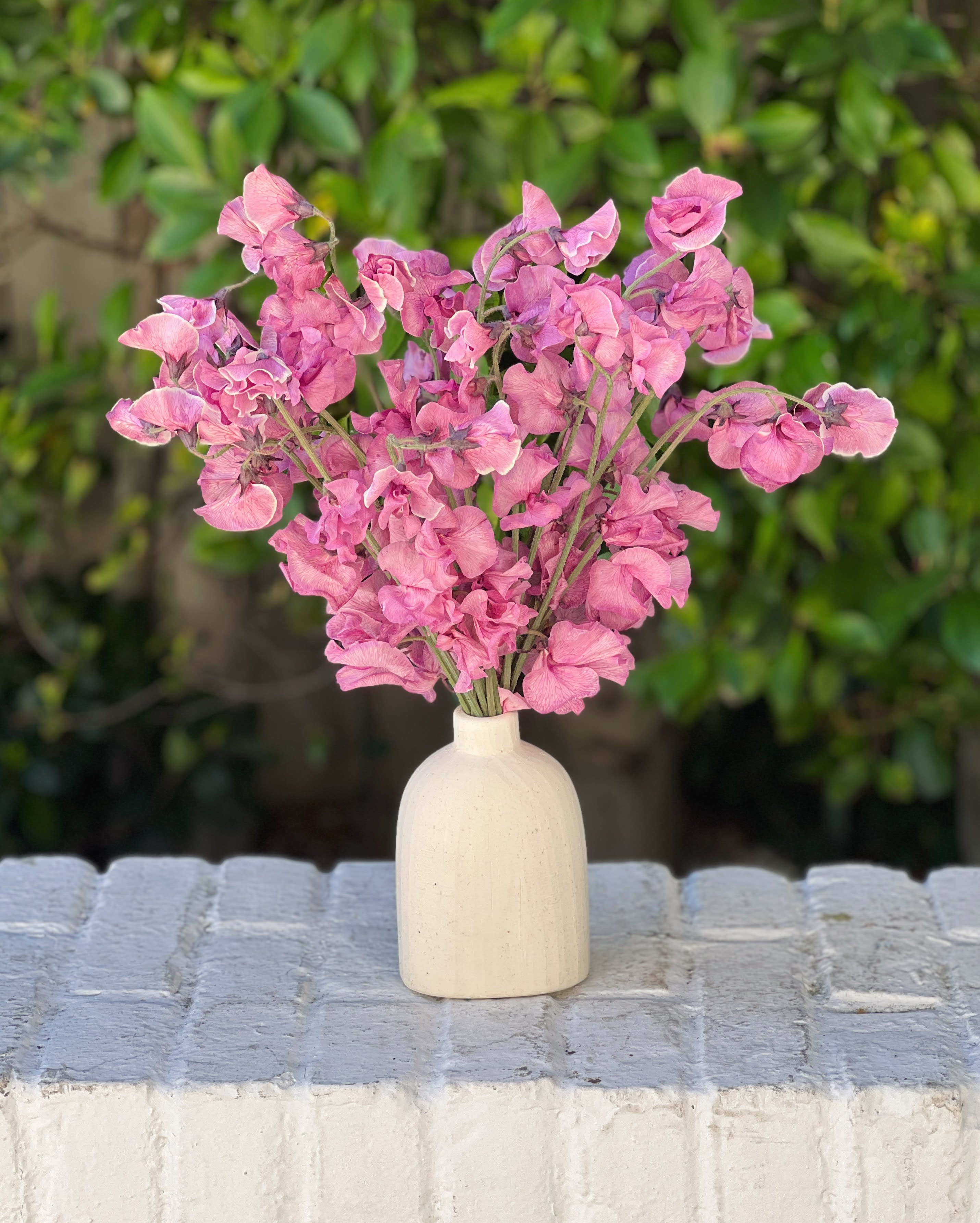 Lydia  - 20 stems of gorgeous sweet peas in a ceramic bud vase. 
