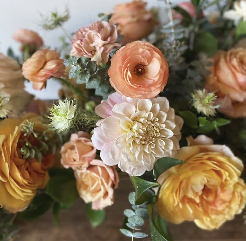 Designer’s Choice- Citrus Designer’s Choice- Citrus - .