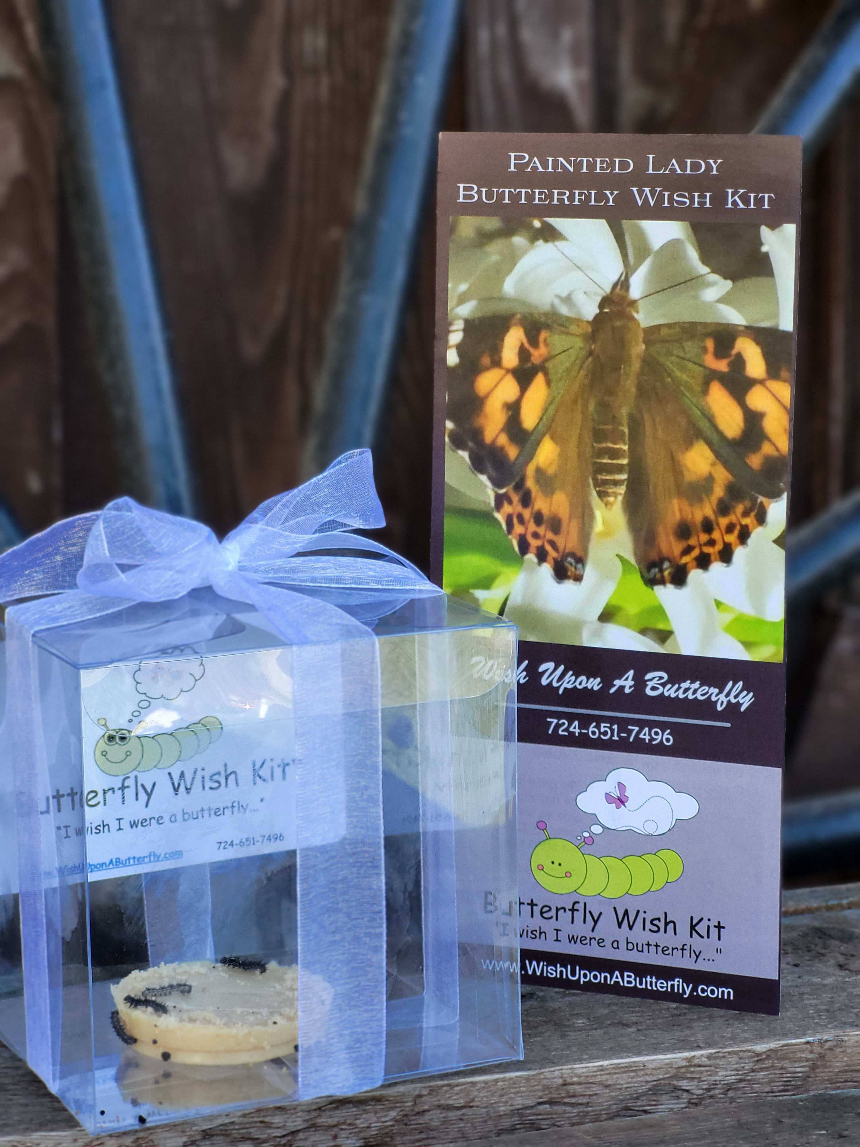 Butterfly Wish Kit Butterfly Wish Kit - A Painted Lady Caterpillar Kit - Everything you need to watch the caterpillars grow and transform into butterflies! Experience the butterfly life cycle in your own home! Kits include 3-4 caterpillars, food for caterpillar, instructions and an adoption certificate. You will have live butterflies to release in about 3 weeks from the date you receive the kit!