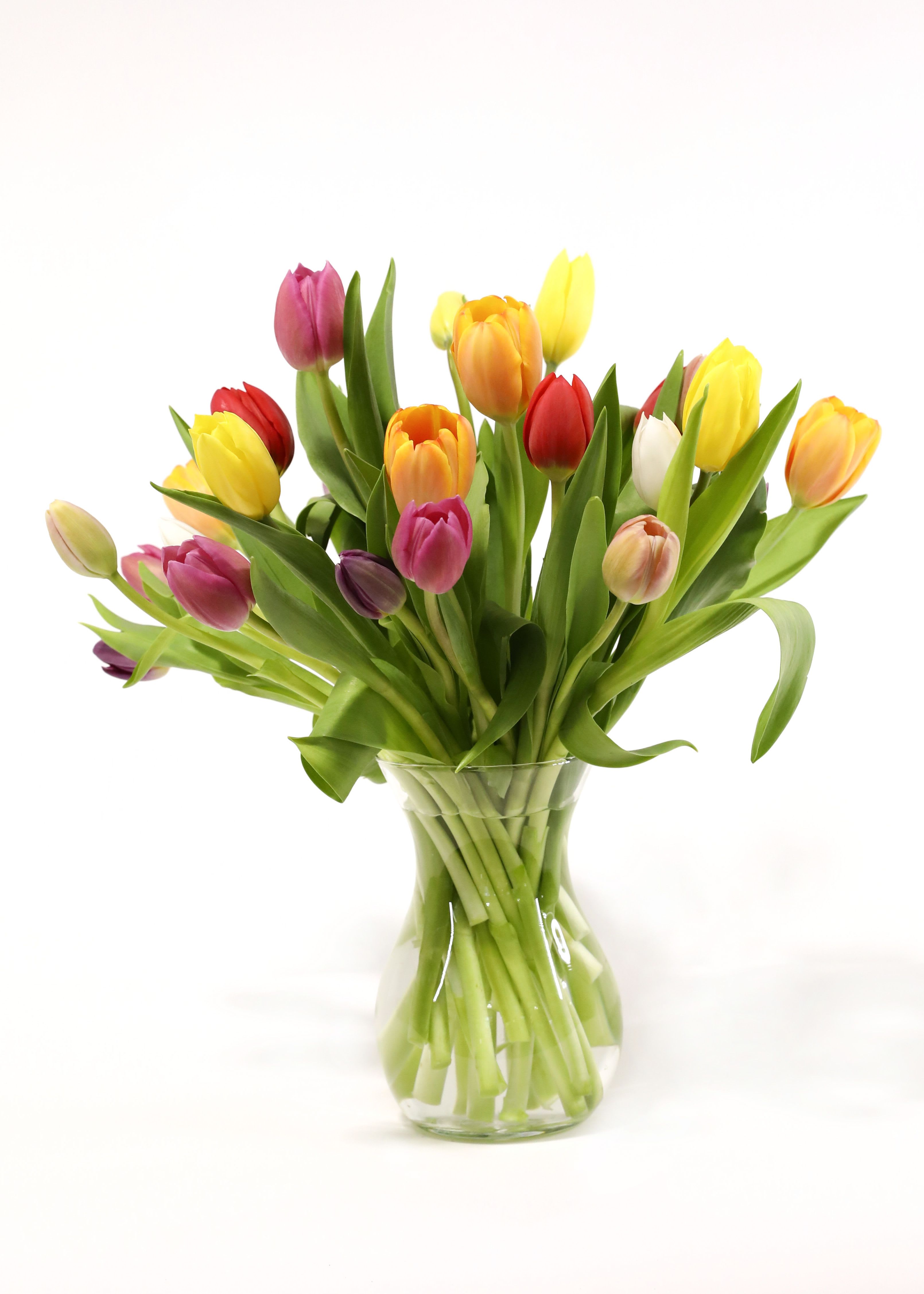 Touch of Spring Touch of Spring - Two dozen assorted tulips stand alone in a clear glass vase.