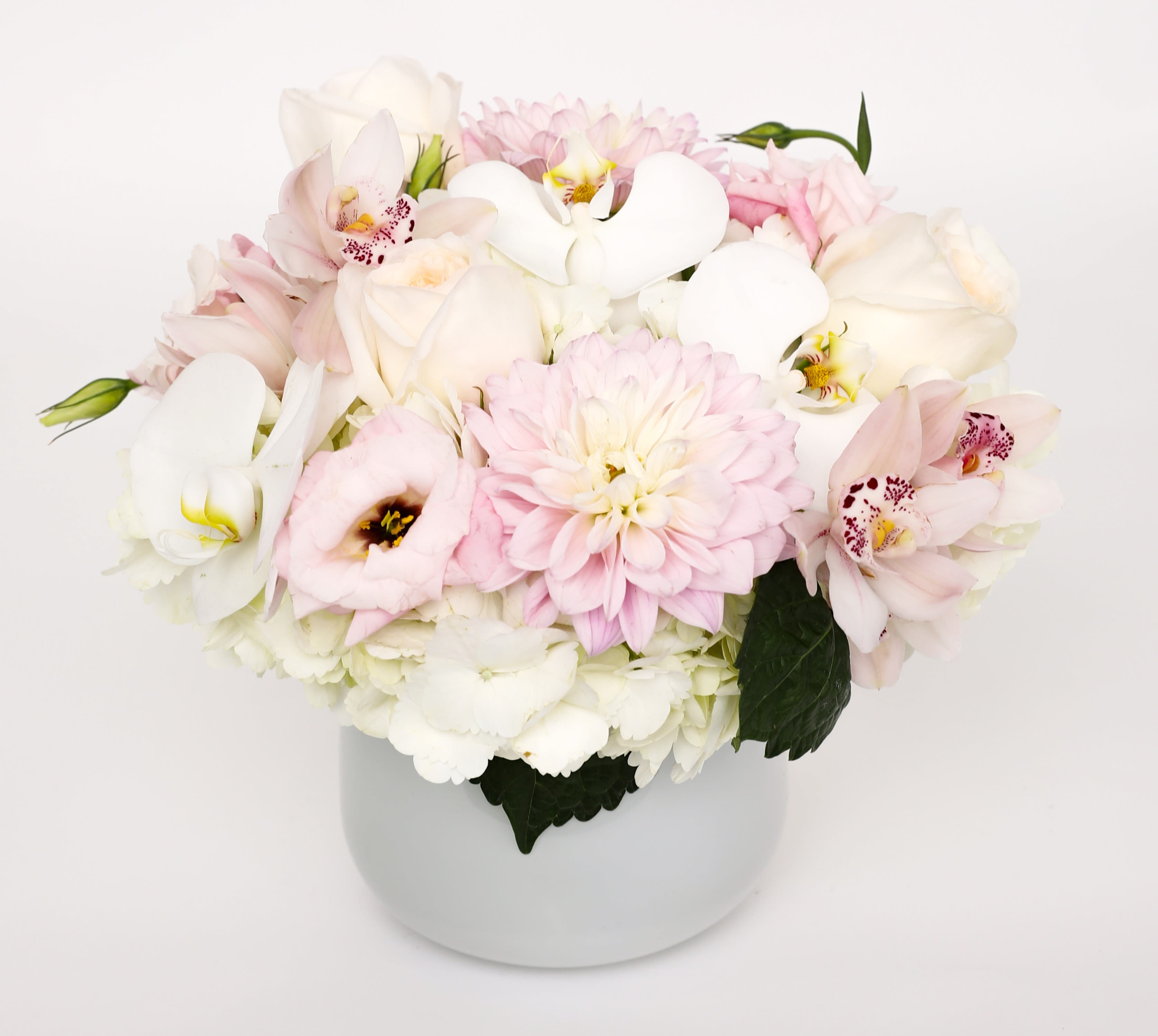 Soothing  - A beautiful white arrangement with just a hint of light peach and pink. One of our favorites at Love's. 