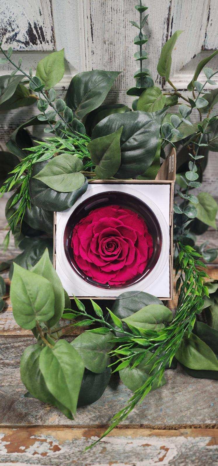 Red preserved rose Red preserved rose - YES!! this beautiful red rose is real :)Preserved to last you 2 years! We all get sad when our flower wilt, but with this rose you can enjoy for months month to come! NOTE: Does Not need to be watered or sprayed!!!