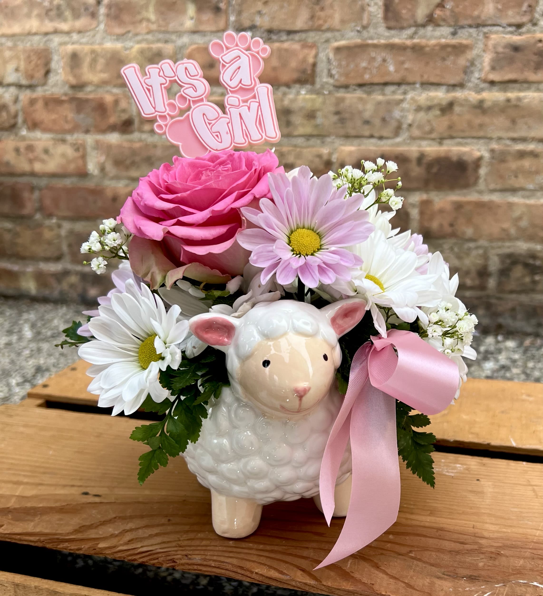 Lily the Lamb - This adorable ceramic lamb is filled with daisies, a rose, filler flowers, and greens. It also proclaims &quot;It's A Girl&quot; for that sweet, new baby. Approximately 8&quot; wide and 10&quot; high.  We are proud to deliver our flower creations to the Kenosha, Somers, Bristol, and Pleasant Prairie area. With over 55 years of combined flower design experience in Kenosha, Wisconsin, A Summer's Garden Florist and Gifts is the perfect choice for the freshest flowers, most creative design, and exceptional customer service.