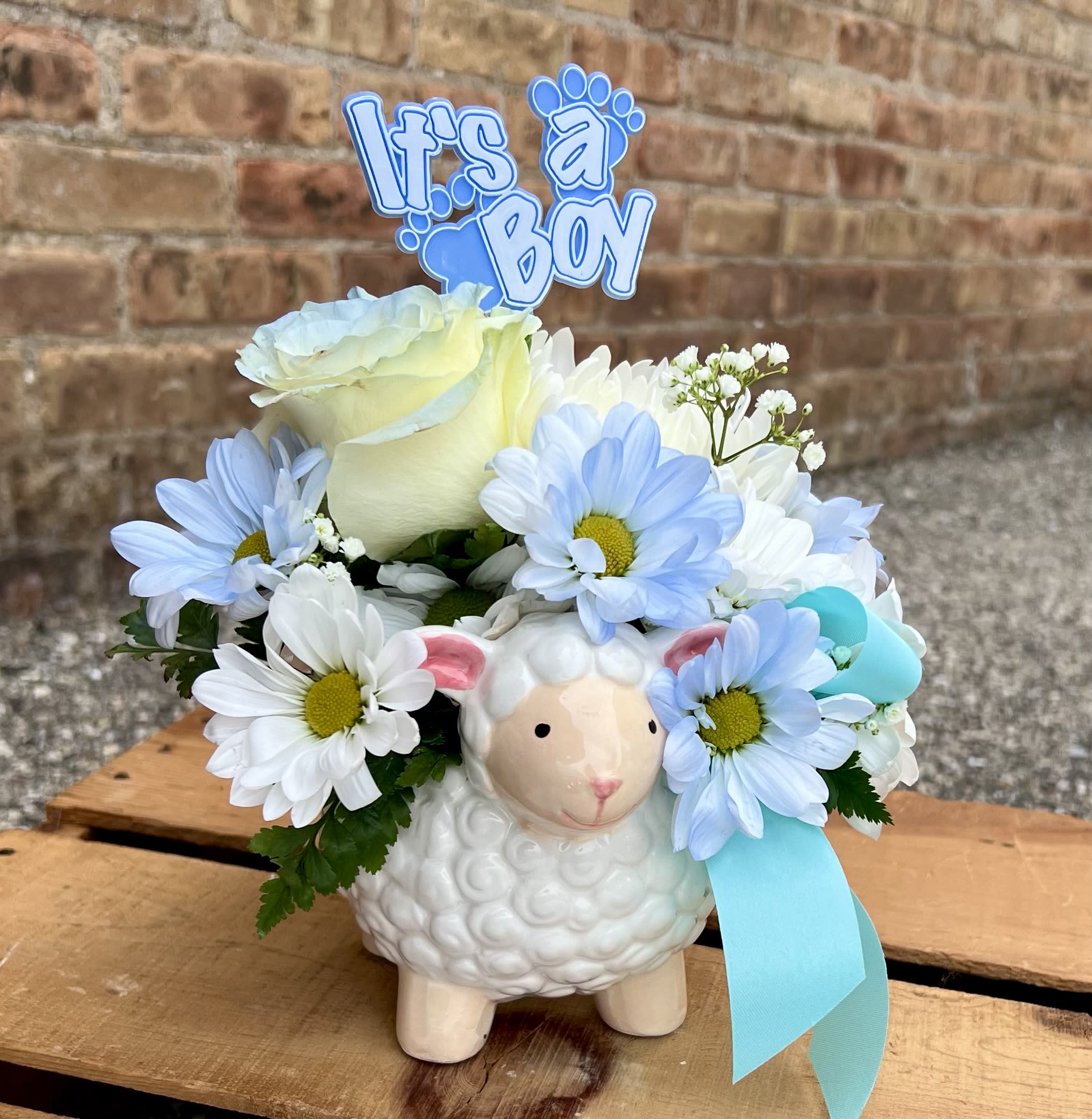 Louis the Lamb - This adorable ceramic lamb is filled with daisies, a rose, filler flowers, and greens. It also proclaims &quot;It's A Boy&quot; for that sweet, new baby. Approximately 8&quot; wide and 10&quot; high.  We are proud to deliver our flower creations to the Kenosha, Somers, Bristol, and Pleasant Prairie area. With over 55 years of combined flower design experience in Kenosha, Wisconsin, A Summer's Garden Florist and Gifts is the perfect choice for the freshest flowers, most creative design, and exceptional customer service.