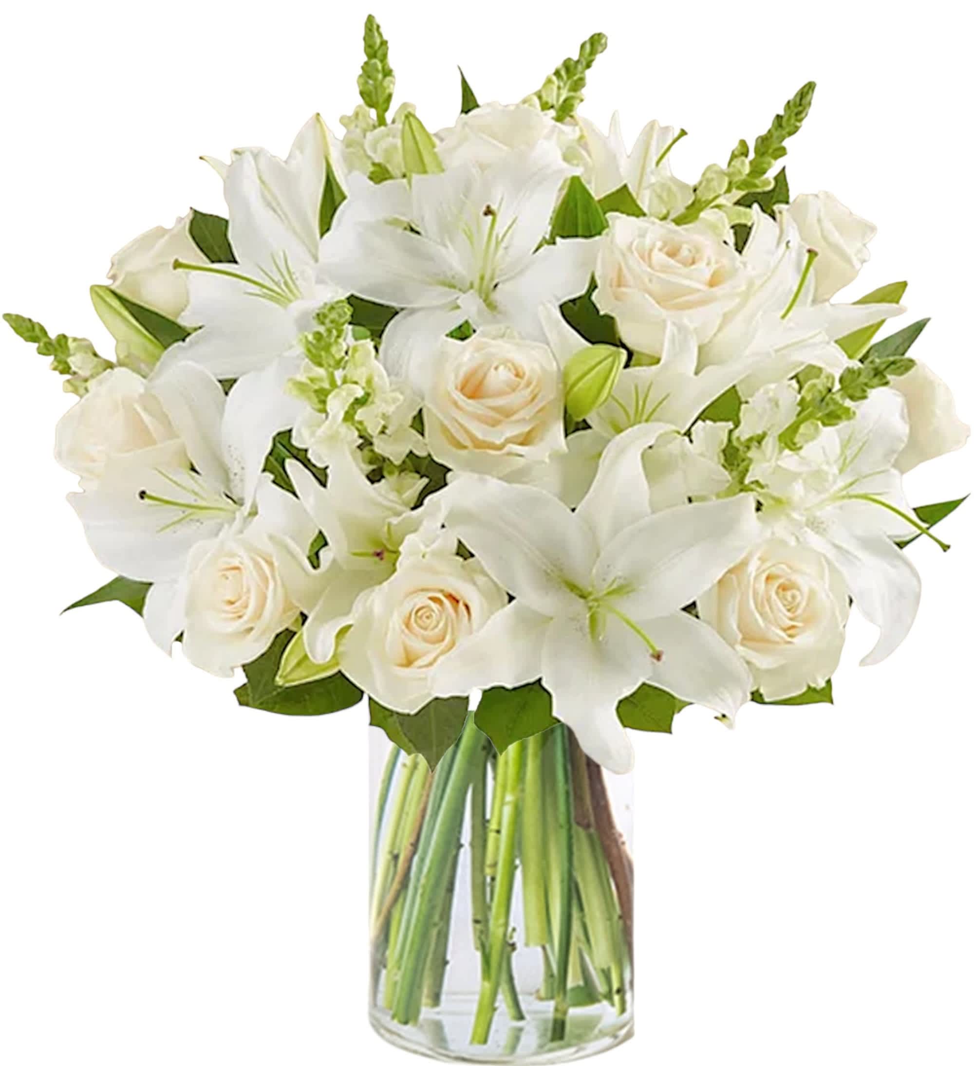 Classic All White Luxury Arrangement - Sympathy - White flowers have a timelessness and elegance that brings comfort during life’s difficult moments. Hand-gathered with touches of lush greenery, this luxury classic arrangement beautifully conveys your heartfelt condolences. Also appropriate for wedding centerpieces, table centerpieces, holiday, or other special occasions.  DETAILS Arrangement of white Roses, Lilies, and Snapdragons; accented with assorted greenery.  VASE INCLUDED 8&quot;H Orientation: One-Sided Item #NF-1125  FLORIST-TO-DOOR Same day flower delivery on most orders placed online by 12 pm or 10 am on weekends PST.  BLOOM DETAILS Roses Lilies Snapdragons Greenery  The Standard Arrangement is approx. 21&quot;H x 21&quot;W The Deluxe Arrangement is approx. 22&quot;H x 22&quot;W The Premium Arrangement is approx. 23&quot;H x 23&quot;W  How to place an order? 1. You can place an order directly on this secure website OR 2. You can call in your order by dialing: (323) 262 - 9238 OR 3. You can visit our store (appointment recommended 323.262.9238)  NINFA'S FLOWERS 2405 WHITTIER BLVD. LOS ANGELES, CA. 90023  ATTENTION: *Please note that on busy holidays, Valentine's Day, and Mother's Day, we cannot verify if the recipient received the flowers until the following day. You can verify delivery on the website after 10:00 pm, call 323.262.9238 the following day after 10:00 am, or contact the recipient directly. Thank you for your patience and understanding.