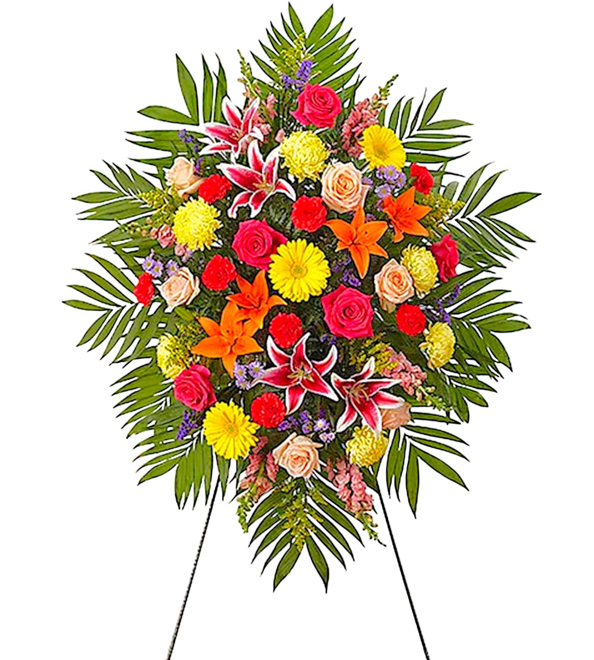 Sympathy Standing Spray - Bright - Their passion and joy for life will always be remembered. Elegantly crafted for a lush, full presentation, this vibrant mix of blooms creates a memorable tribute to someone who was truly one-of-a-kind. Appropriate for the funeral home, memorial service, or gravesite.  DETAILS Red carnations, orange Asiatic lilies, yellow Gerbera daisies &amp; football mums, peach &amp; hot pink roses, pink Stargazer lilies &amp; snapdragons, purple statice &amp; monte casino; with greenery.    EASEL INCLUDED Orientation: One-Sided *If you would like to add a ribbon with a sentiment for an additional $10 each. Item #NF-1040  FLORIST-TO-DOOR Same day flower delivery on most orders placed online by 12 pm or 10 am on weekends PST.  BLOOM DETAILS Roses Gerbera Daisies Football-Mums Asiatic Lilies Stargazer Lilies Snapdragons Carnations Solidago Statice  Monte Casino Aster Spray Greenery  The Standard is approx. 42&quot;H x 30&quot;W without stand The Deluxe is approx. 46&quot;H x 34&quot;W without stand The Premium is approx. 56&quot;H x 38&quot;Wwithout stand  INSTRUCTIONS: 1.) Please have the business name of the funeral home, address &amp; phone number. 2.) Please have the first name &amp; last name of the deceased. 3.) Please have the start time of the services.  NINFA'S FLOWERS 2405 WHITTIER BLVD. LOS ANGELES, CA. 90023