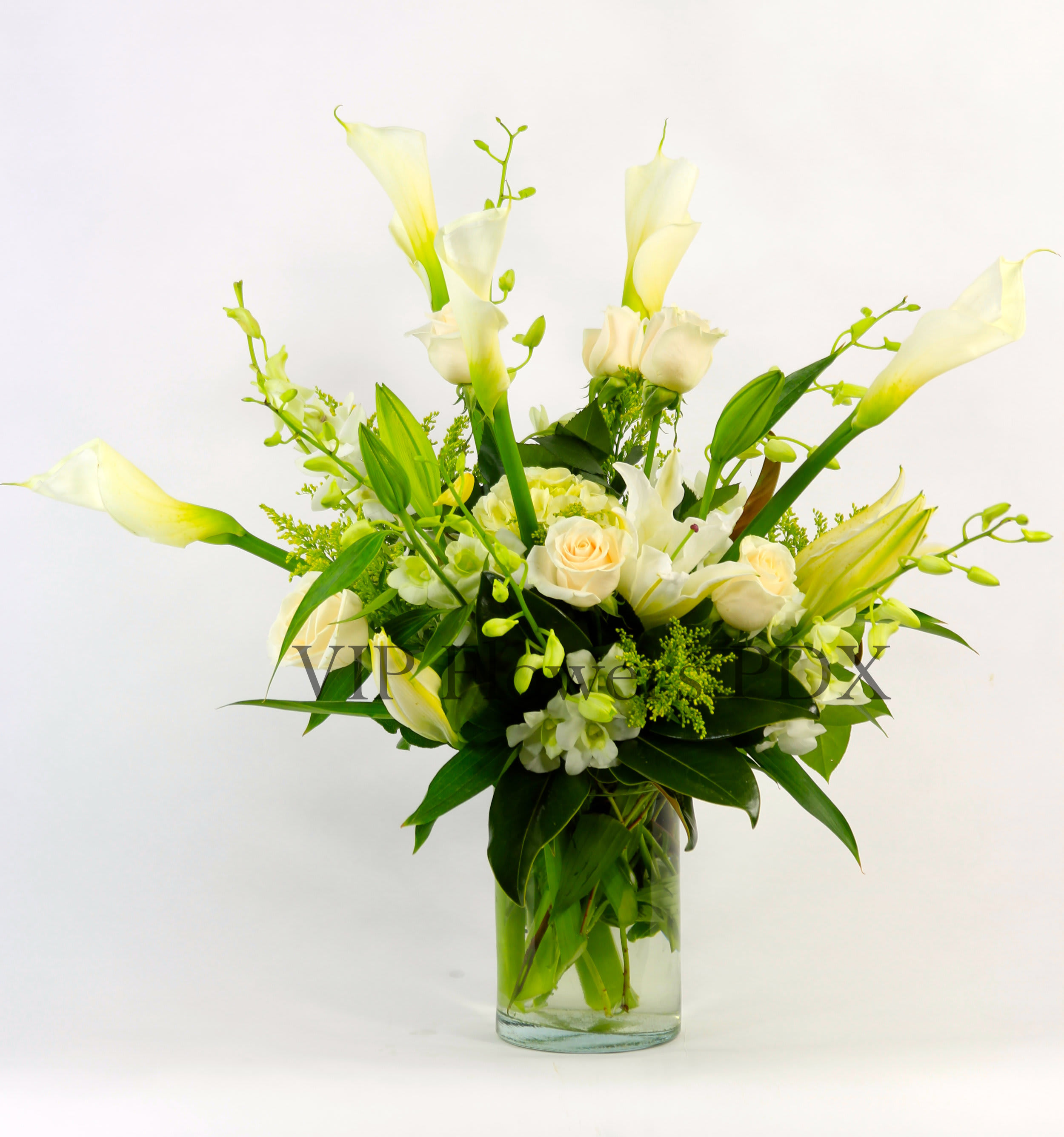 Innocence - Substitutions may be necessary to ensure your arrangement or specialty gift is delivered in a timely manner. The utmost care and attention is given to your order to ensure that it is as similar as possible to the requested item (Please note that some flowers and colors may vary due to seasonality.)