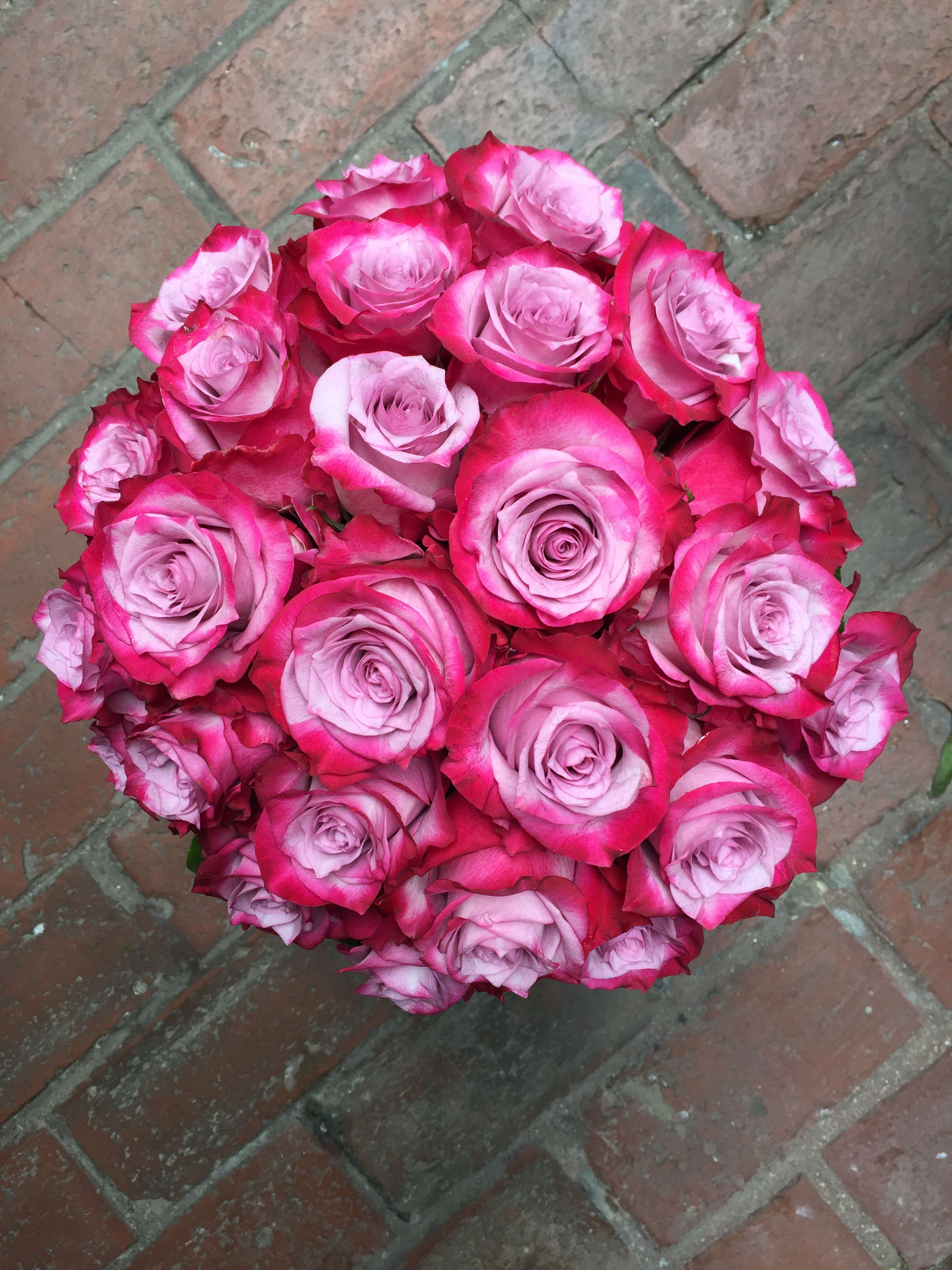 Deep Purple Roses Galore Deep Purple Roses Galore - 25 Beautiful Deep Purple Roses or any color you prefer (excluding red) arranged in a clear cylinder vase with aspidistra wrap.