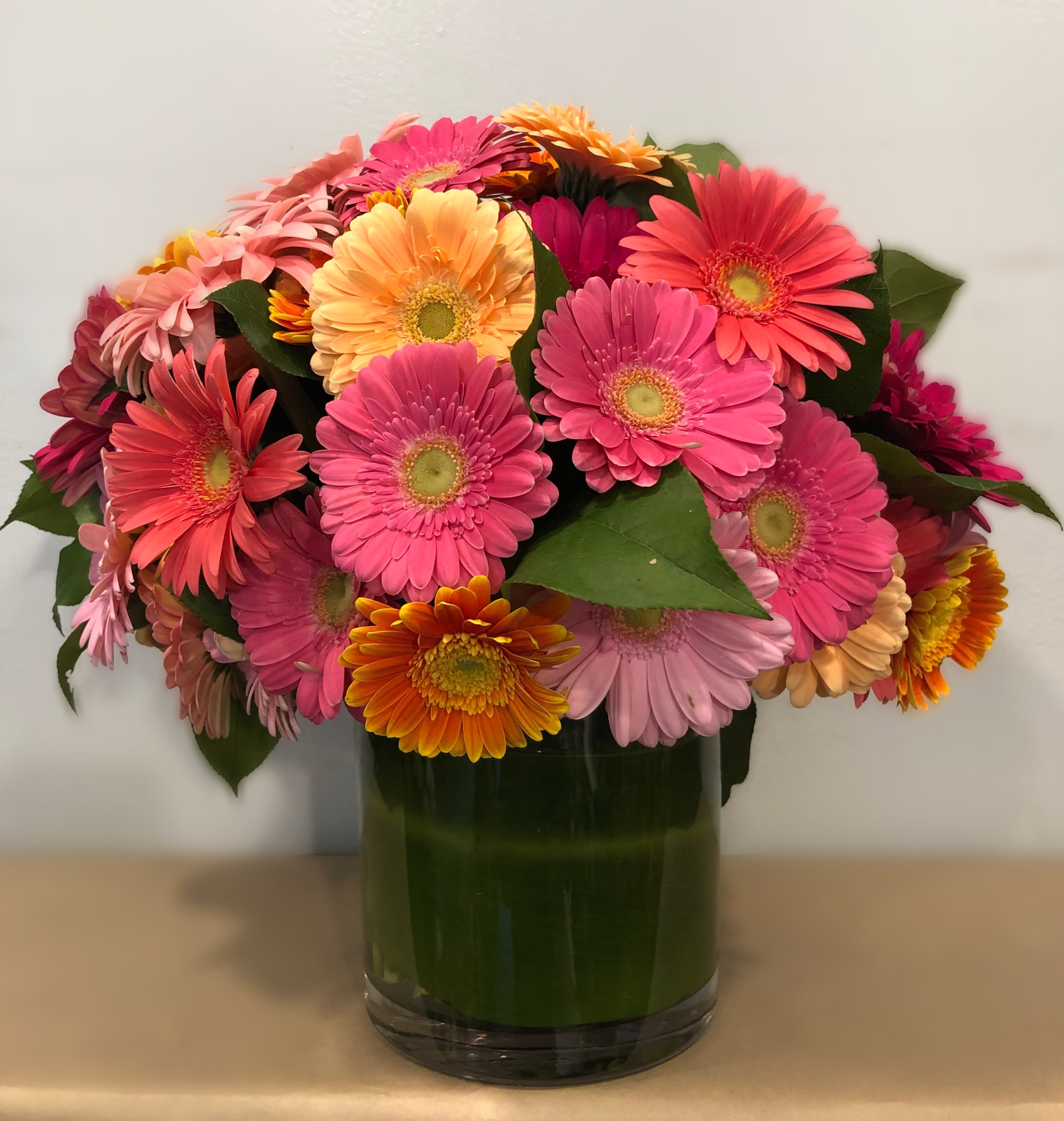 Gerbera Rainbow Gerbera Rainbow - Gerbera Daisies are the only focus of this arrangement. Guaranteed to make a Happy Day!