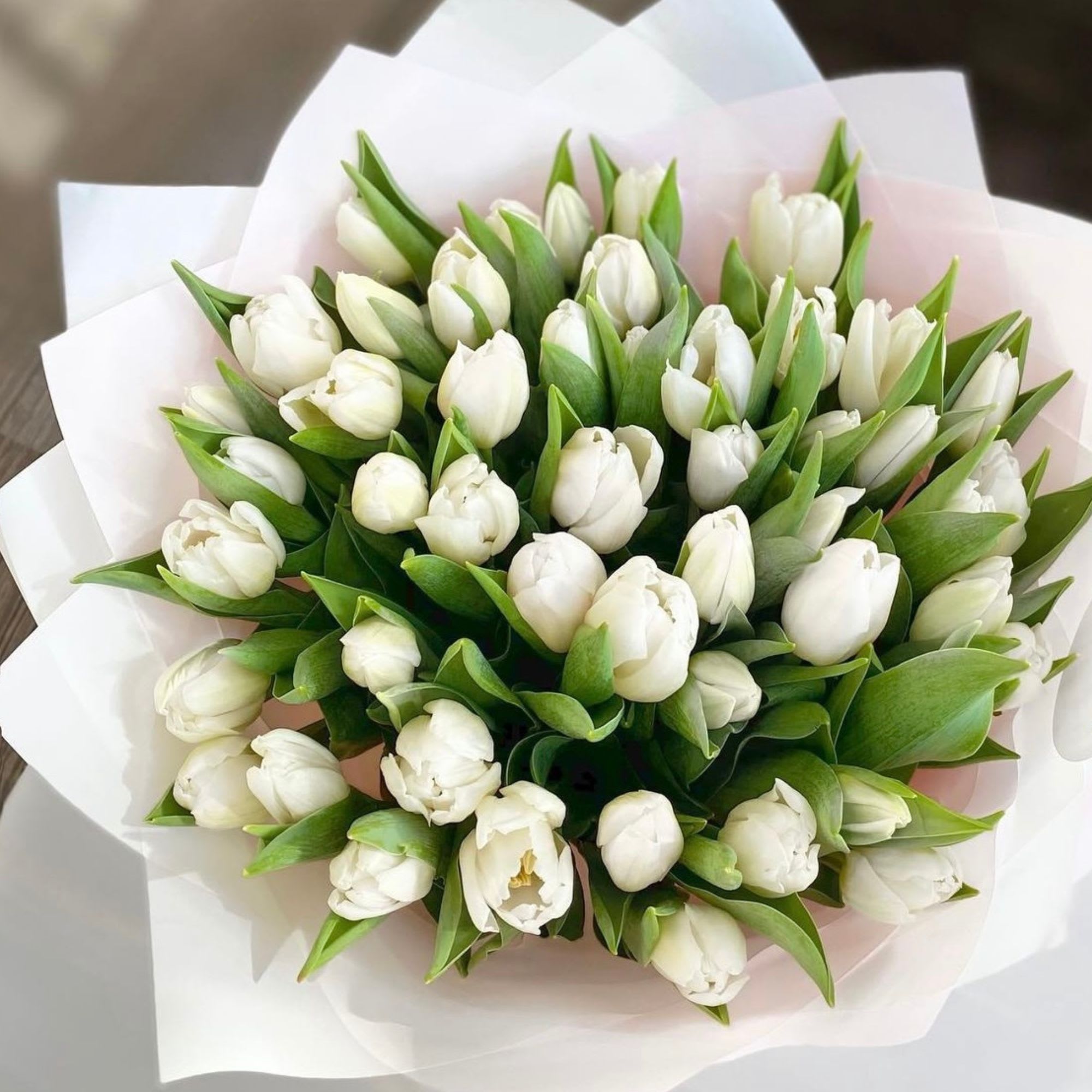 White Tulips White Tulips - 40 white tulips