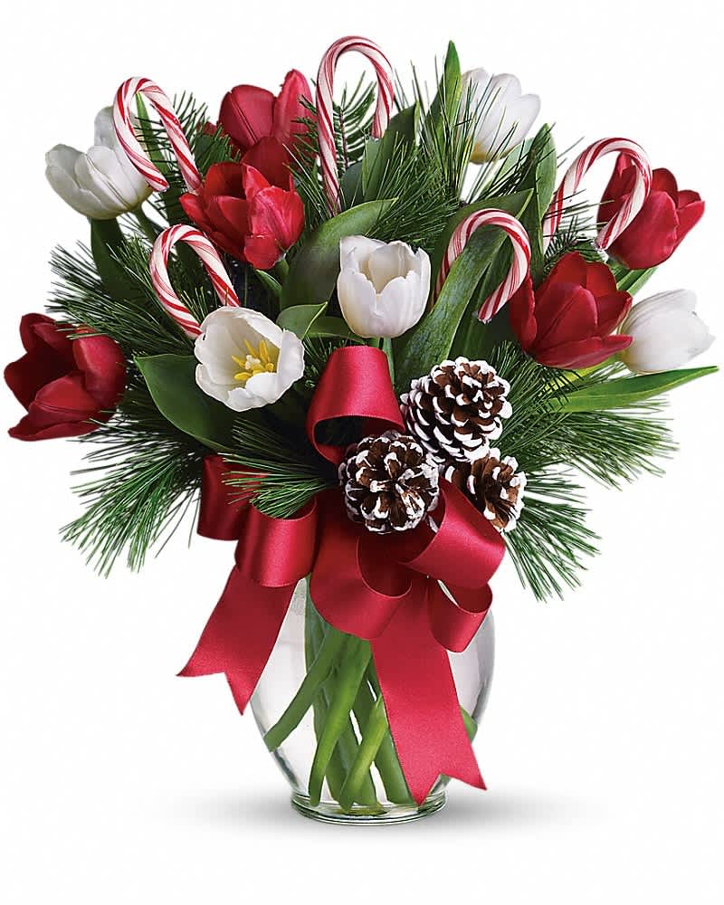 By Golly, It's Jolly By Golly, It's Jolly - Imagine what would happen if you combined everyone's holiday favorites and arranged them in a beautiful Christmas bouquet. The results would be very sweet indeed, as they are in this fantastic gift! Bright red and white tulips, real candy canes, pinecones and holiday greens in a pretty ginger vase come all wrapped up in a pretty holiday bow. Eye candy with real candy, what a treat.