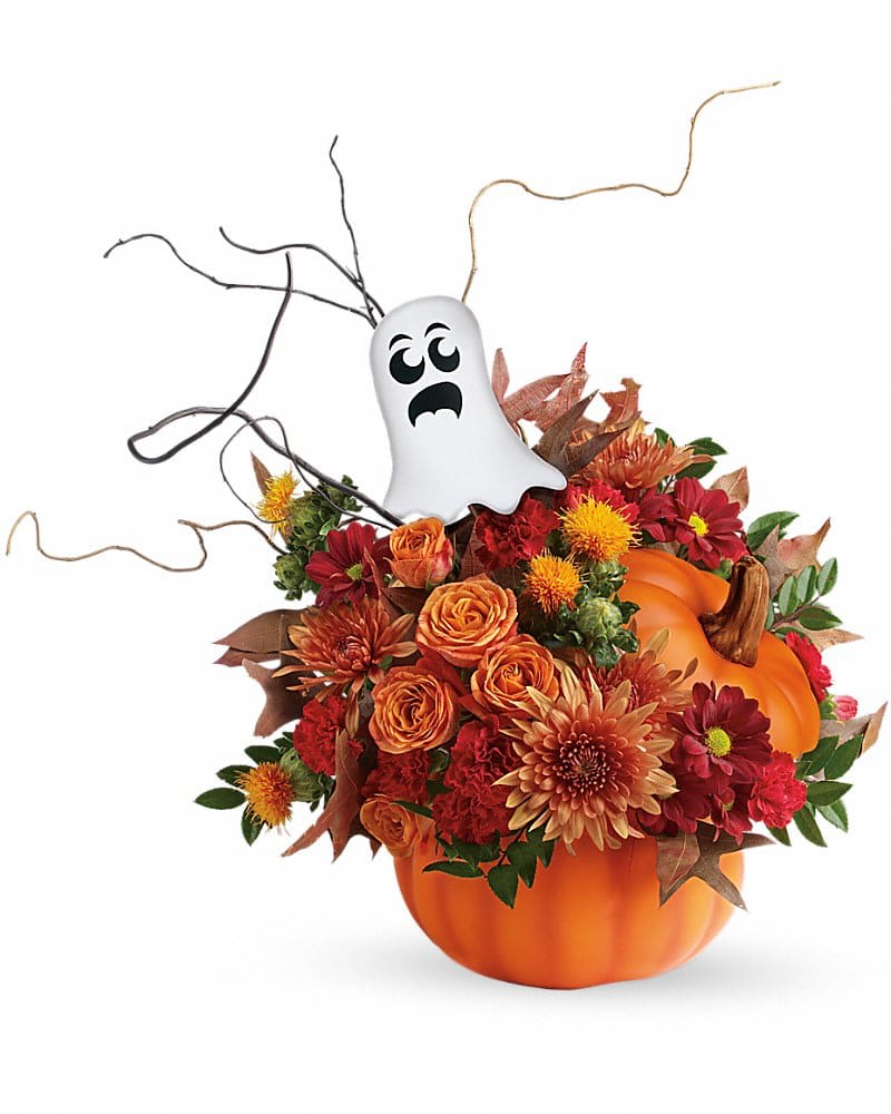 Teleflora's Spooky Surprise Bouquet Teleflora's Spooky Surprise Bouquet - Boo! It's a happy Halloween surprise when this classic ceramic pumpkin arrives, bursting with a beautiful fall bouquet. Orange spray roses, miniature red carnations, red daisy chrysanthemums and bronze cushion chrysanthemums are arranged with orange safflower, huckleberry, curly willow and oak leaves. Delivered in an exclusive Spooky Surprise pumpkin.