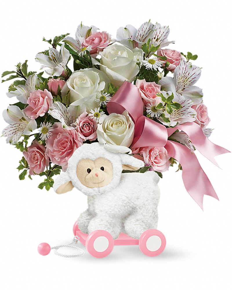 Teleflora's Sweet Little Lamb - Baby Pink Teleflora's Sweet Little Lamb - Baby Pink - This little lamb can't wait to deliver your best wishes to the happy new family! Crafted of wood and covered in soft plush, it's a sweet decorative display piece for the baby's nursery that also delivers a dreamy bouquet of roses and alstroemeria to the new parents. Celebrate a new arrival with this arrangement of white roses, light pink spray roses, white alstroemeria, small white monte cassino asters and pitta negra. Delivered in a Sweet Little Lamb keepsake.