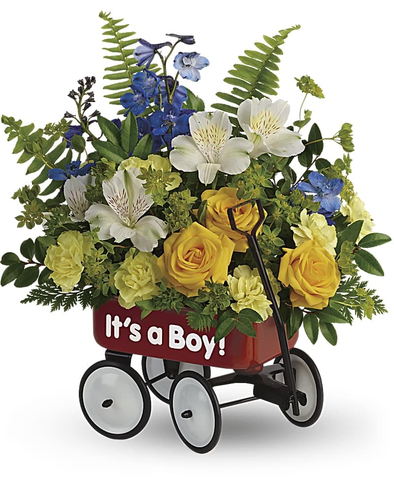 Teleflora's Sweet Little Wagon Bouquet Teleflora's Sweet Little Wagon Bouquet - Give your welcome some wheels! A childhood classic, this cute red wagon is a whimsical way to send the new family a bright blue and yellow bouquet of roses and alstroemeria. Yellow spray roses, white alstroemeria, miniature yellow carnations, and blue delphinium are arranged with bupleurum, sword fern, huckleberry and leatherleaf fern. Delivered in a Baby's First Wagon.