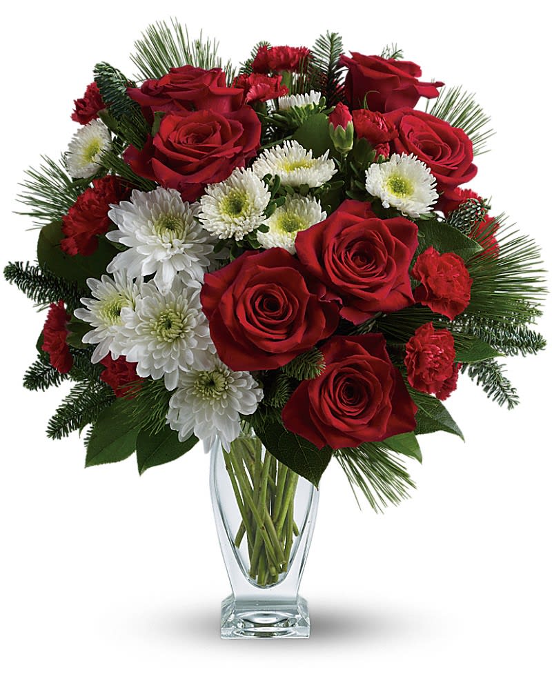 Teleflora's Winter Kisses Bouquet Teleflora's Winter Kisses Bouquet - Send a winter kiss to your special someone with this romantic mix of ravishing red roses, snow white flowers and fresh winter greens. Arranged in a gorgeous sculpted glass vase, it's a gift she'll always remember. This heartwarming bouquet includes red roses, red carnations, red miniature carnations, white matsumoto asters, white cushion chrysanthemums, noble fir, white pine and lemon leaf. Delivered in a gorgeous glass Couture vase.