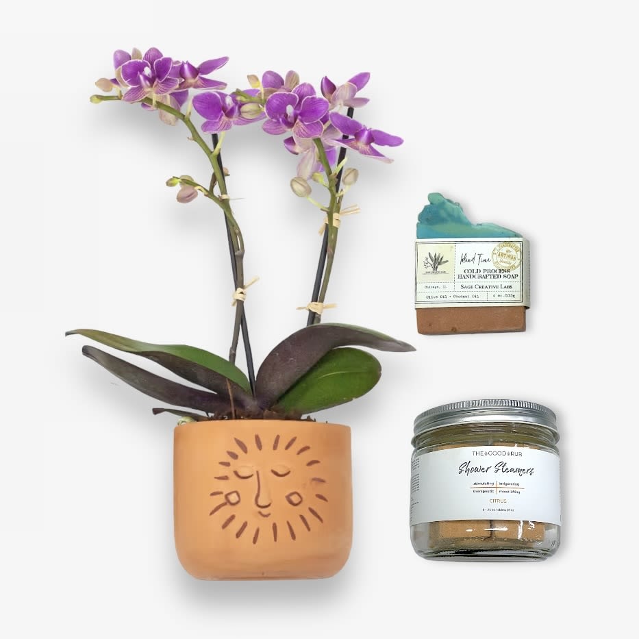 Tropical Paradise Gift Set - Bring the Gift of Sunny Island Life to San Francisco with this gift set. Included is one mini Phaleanopsis orchid, planted In a terracotta sun container. Enjoy the tropical scents of vacation life during your showers with a Citrus shower steamer from The Good Rub. Also included is an organic artisanal soap from Sage Creative Labs in the scent &quot;Island Time&quot;. Your loved one will be itching it put their feet in the sand with a fruity drink in hand when they receive this gift set.