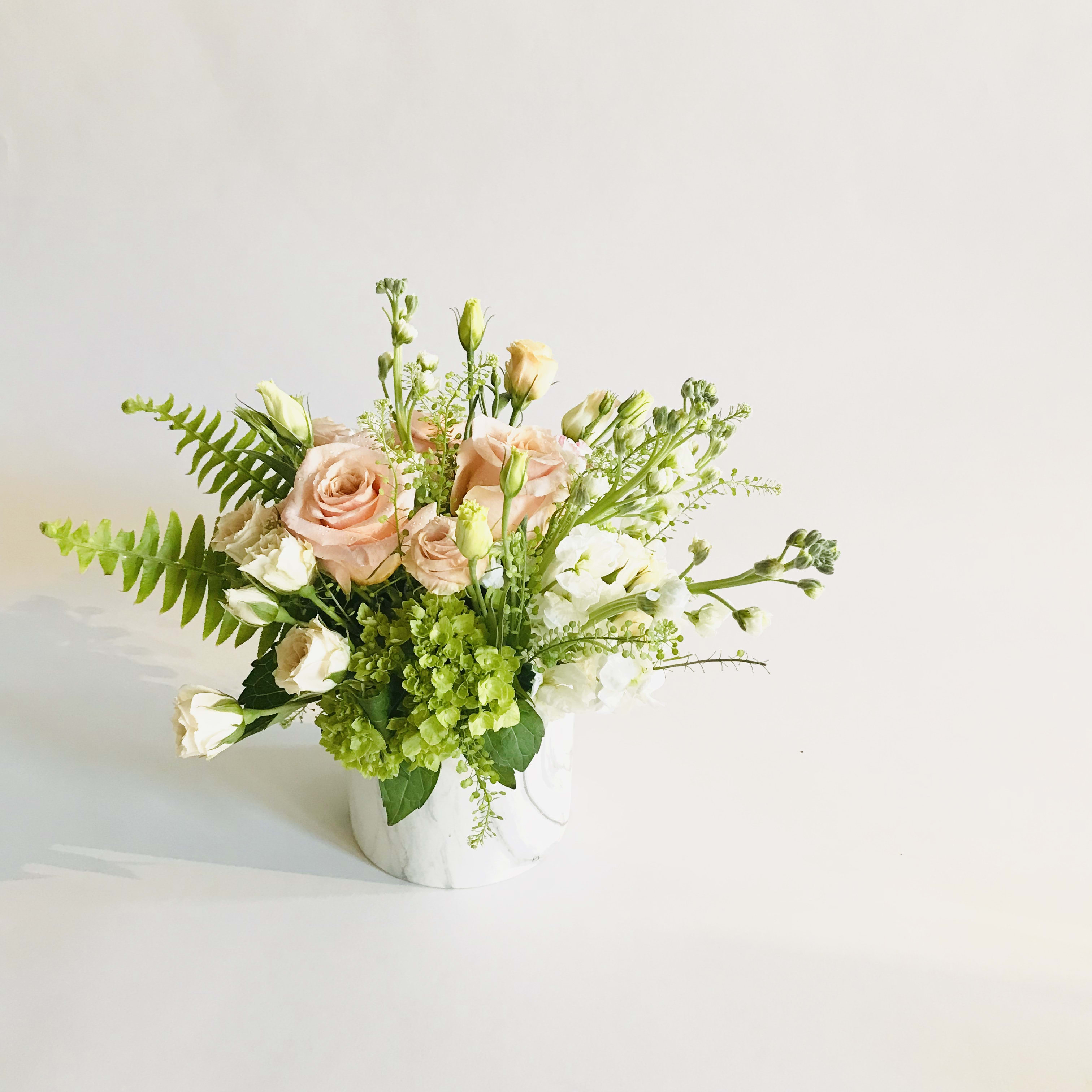 Peachy Glow - The glow of apricot roses in backdrop of various texture of green that accentuate the happiness
