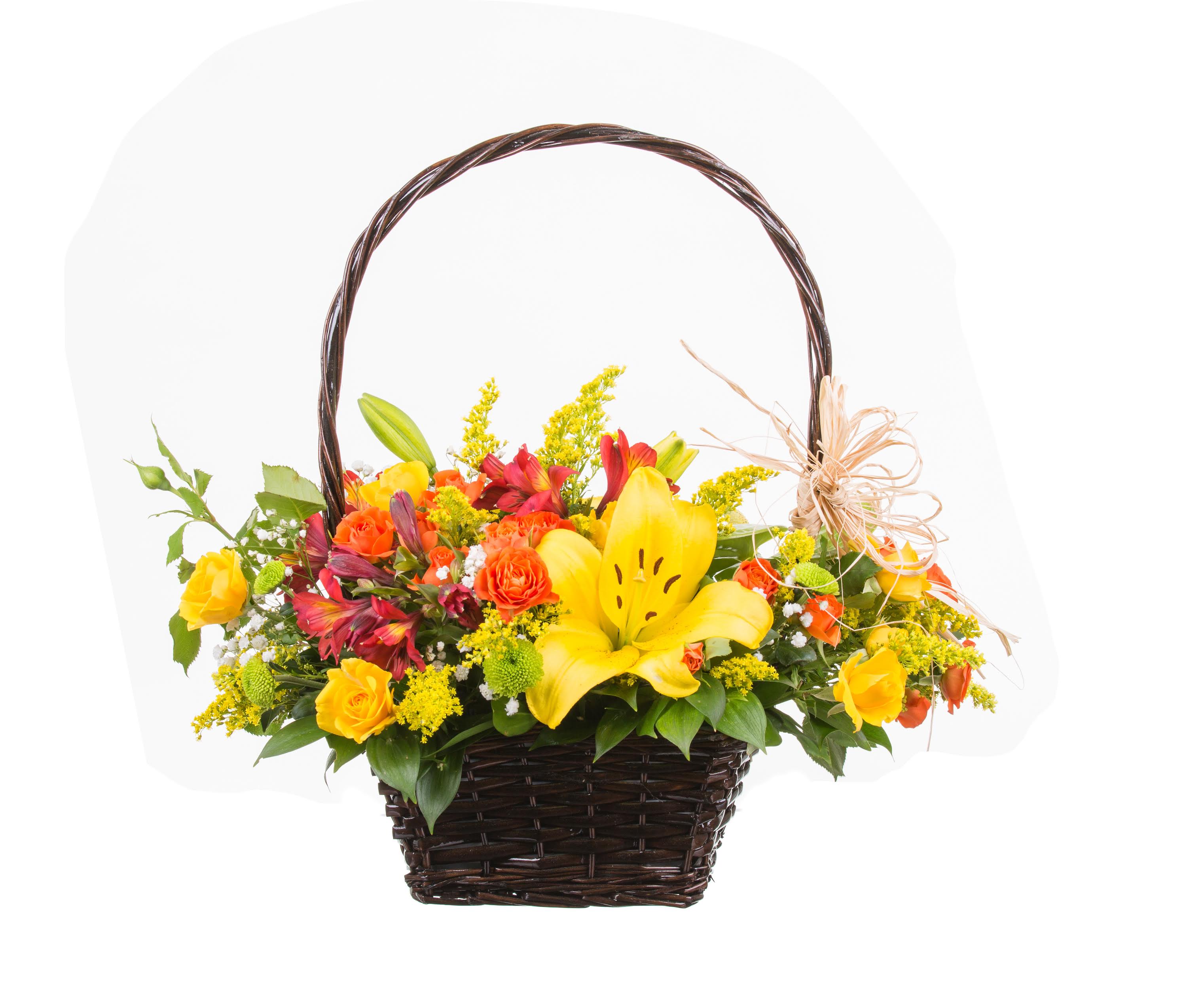 Celebrating YOU Celebrating YOU - Fun colors to brighten the day of someone special. YAY!!!!!!