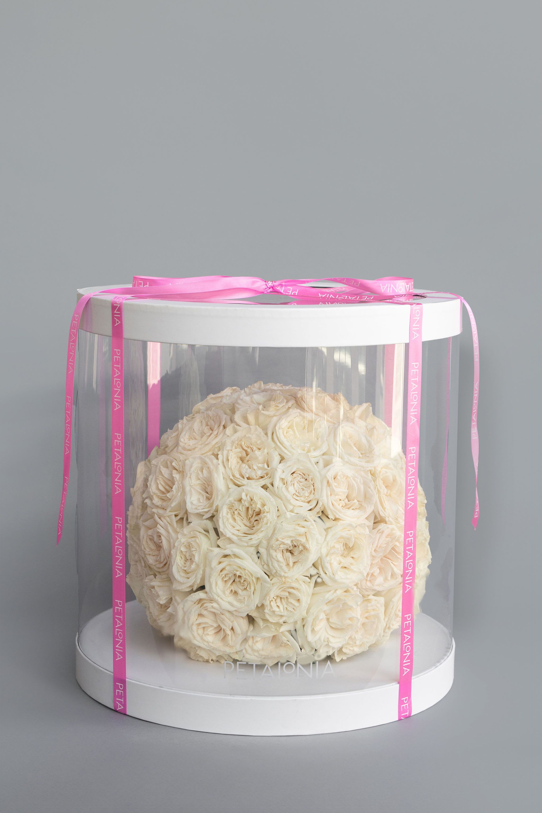 100 Preserved White Rose Arrangement in a Clear Box – Lasts Up to 3 Years - Experience timeless beauty with our preserved rose arrangement, thoughtfully presented in a clear display box—a perfect 2-in-1 gift that combines the charm of flowers with a lasting keepsake.  Preserved roses are real roses that undergo a special preservation process, allowing them to maintain their natural look and softness for up to 3 years—with no water or maintenance required.  Large Box Dimensions 17.5&quot; x 17.5&quot; x 17.5” Flower Arrangement Dimensions Approx. 14&quot; x 14&quot; x 14&quot;   Note: Preserved flower arrangements may take up to 3 business days to be made. Please call Petalonia if you need expedited service.