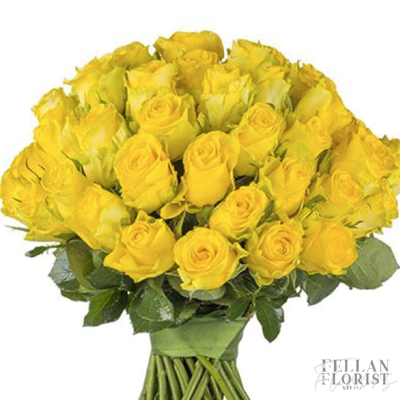 36 Yellow Roses - Brighten any celebration with a beautiful and brilliant bouquet of premium long-stem yellow roses. Premium: 36 roses