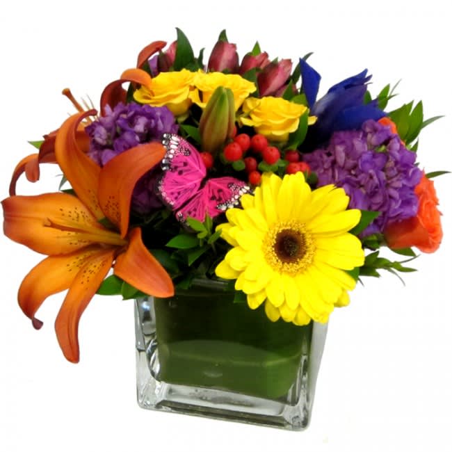 Signature Butterfly Cube - Our signature mixed color floral arrangement features spray roses, lilies, gerbera daisies, alstroemerias, stocks and other seasonal flowers. This cheery and colorful bouquet is accented with a bright butterfly resting on flowers, and a tropical leaf artistically placed inside of the glass cube vase with gems. Standard size is approximately 8in (W) x 8in (H). Deluxe and Premium versions feature more blooms and larger glass cube vases.  Standard - Signature Butterfly Cube Bouquet - 5in Cube Vase  Deluxe - Large Signature Butterfly Cube Bouquet - 6in Cube Vase  Premium - Jumbo Signature Butterfly Cube Bouquet - 8in Cube Vase  Please Note: Every Signature Butterfly Cube arrangement we create is unique and may differ from the pictured sample. Our designers select only the best blooms available on the day of scheduled delivery to create a cheery and colorful mixed bouquet that's guaranteed to please.  Care Tips: Place your bouquet in a cool location. Don't put the arrangement in direct sunlight, near heating or cooling vents, in drafty places, directly under ceiling fans, or on top of televisions or radiators. Check water level daily, keep the vase full with clean water. Change water every 2-3 days and apply a sharp fresh cut to the stems. This process will ensure extended flower's life span.