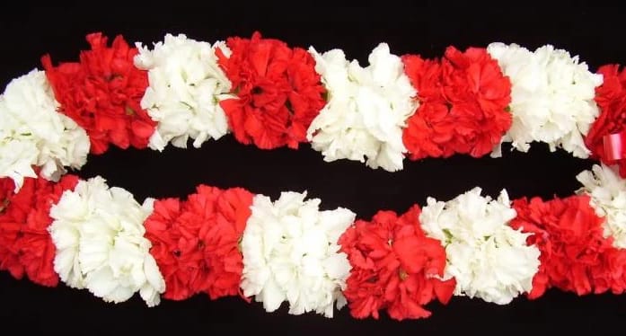 Carnation Leis Red and White - Carnation Leis Red and White