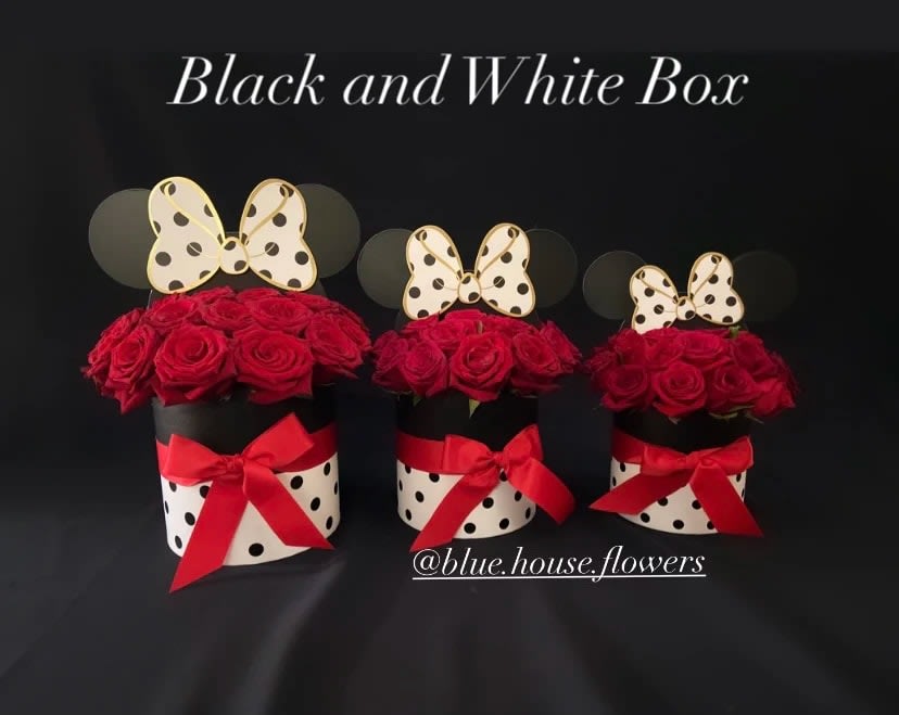Minnie Mouse, Black and White Box - 12 Red Roses, Standard 18 Red Roses, Deluxe 24 Red Roses, Premium