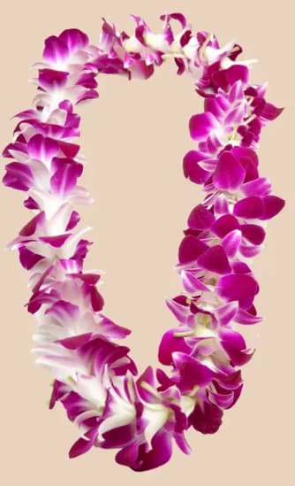 Purple Orchid Leis - Purple Dendrobium Orchid Leis