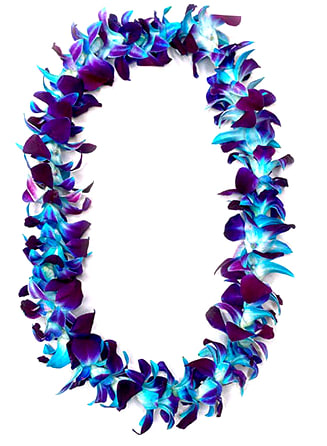Blue Dendrobium Orchid Leis - Blue Dendrobium Orchid Leis