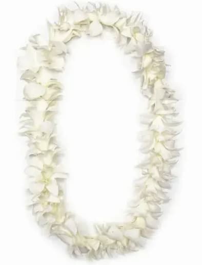 White Dendrobium Orchid Leis - White Dendrobium Orchid Leis