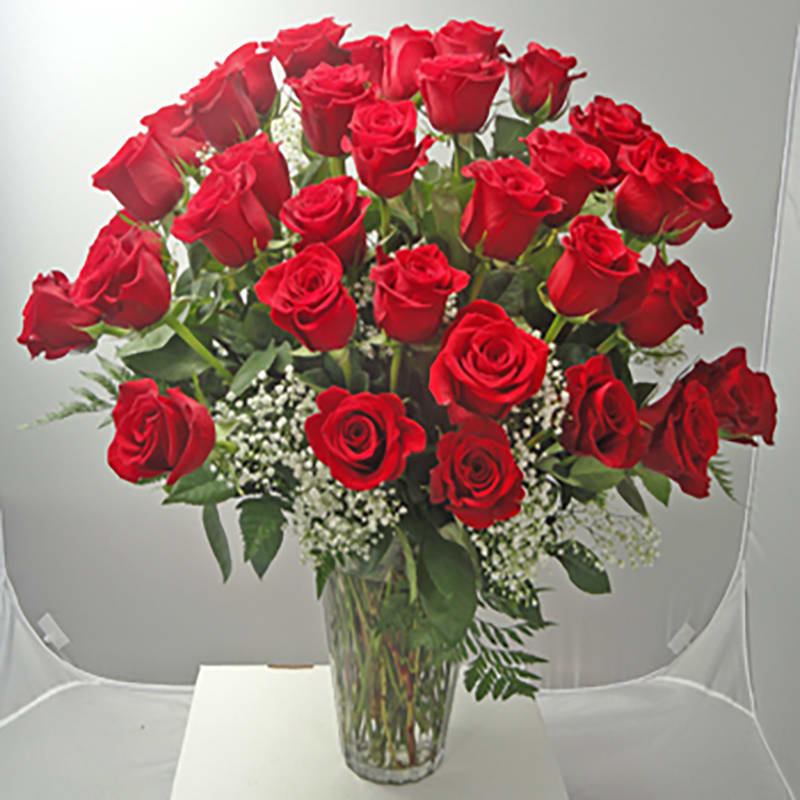36 Roses Arranged - A mass of red roses in a clear vase - 36 red roses to be exact! Stunning to say the least...these roses may be upgraded with the addition of other flowers of your choice...such as orchids or lillies...call to discuss upgrades.  And remember...you can get any color roses!!