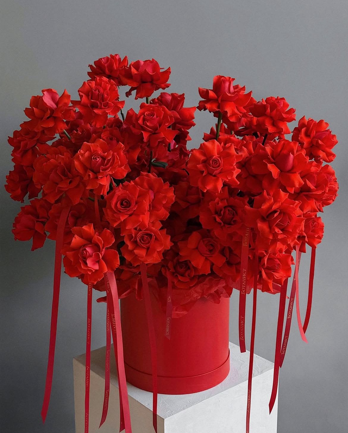 RED ROSES  - BEAUTIFUL RED BOX 