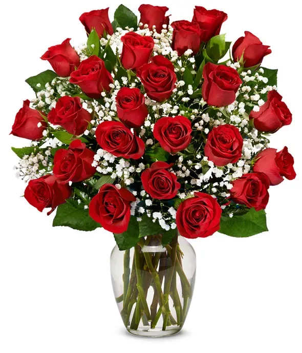 24 red roses arrangement 24 red roses arrangement - 24 red roses (or color of choice) arranged in a vase with baby's breath to fill out the vase