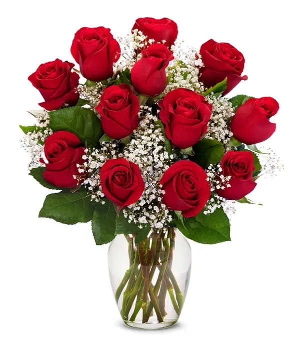 Dozen red rose vase Dozen red rose vase - 12 roses arranged into a vase filled with baby's breath