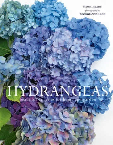 Hydrangeas: Book - Hydrangeas: Beautiful Varieties For Home &amp; Garden