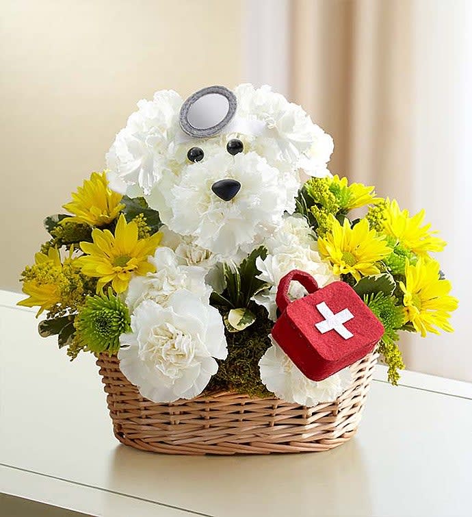 Doggie Howser M.D.™ Doggie Howser M.D.™ - Our florists hand-design each arrangement, so floral colors and varieties may vary Hand-designed a-DOG-able® arrangement of white carnations, yellow daisy poms, athos poms, solidago and variegated pittosporum Crafted in the shape of an adorable dog, complete with eyes and nose Arrives carrying a plush doctor bag and wearing a headpiece Designed in a willow dog bed basket lined with moss Arrangement measures approximately 11"H x 11"L