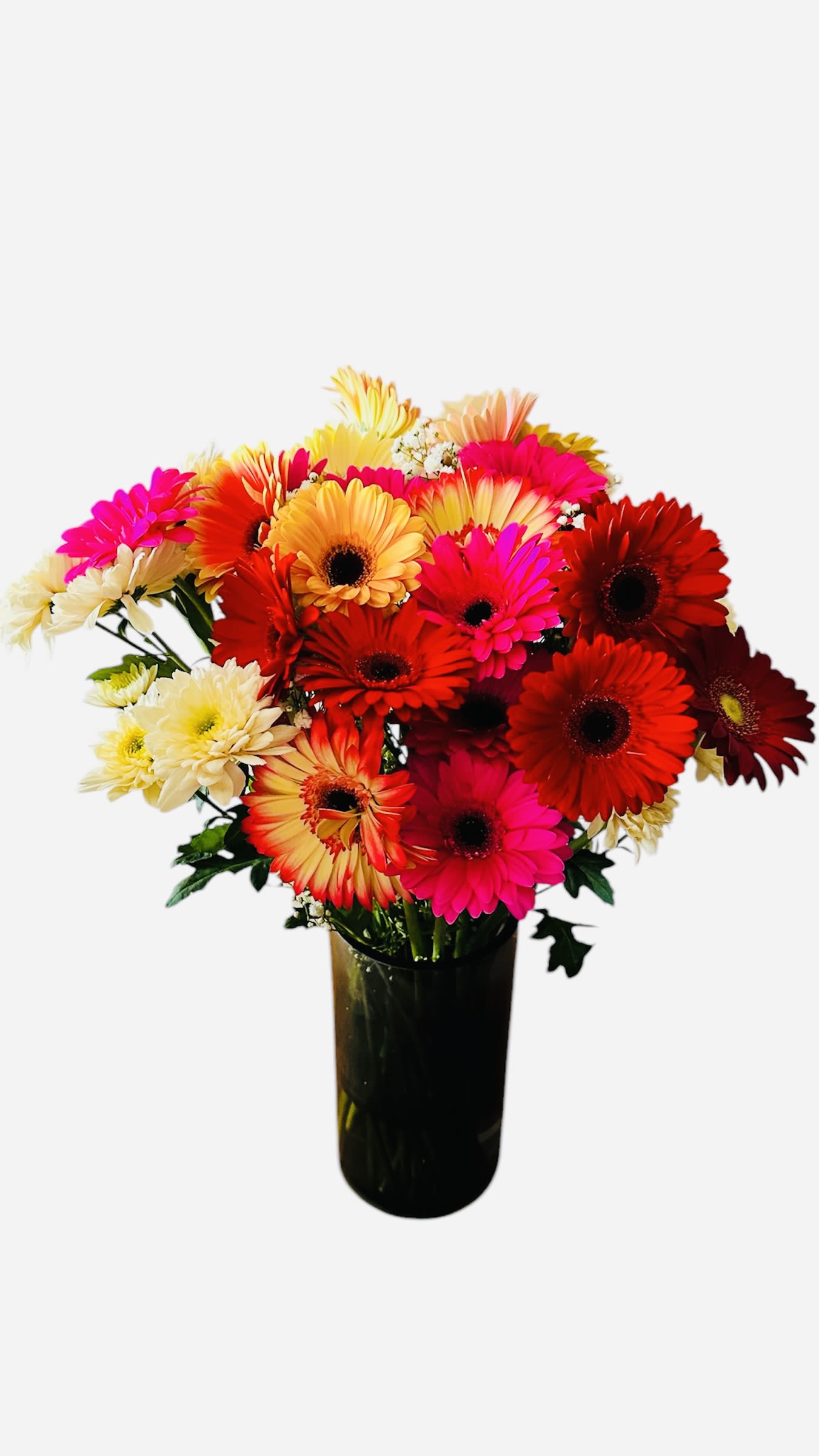 Cinnamon by BloomNation™ Cinnamon by BloomNation™ - This cinnamon-colored arrangement is a perfect taste of fall. Perfect for any occasion in the fall season, it features red gerbera daisies and yellow alstroemeria. Approximate Dimensions: 10"D x 10"H