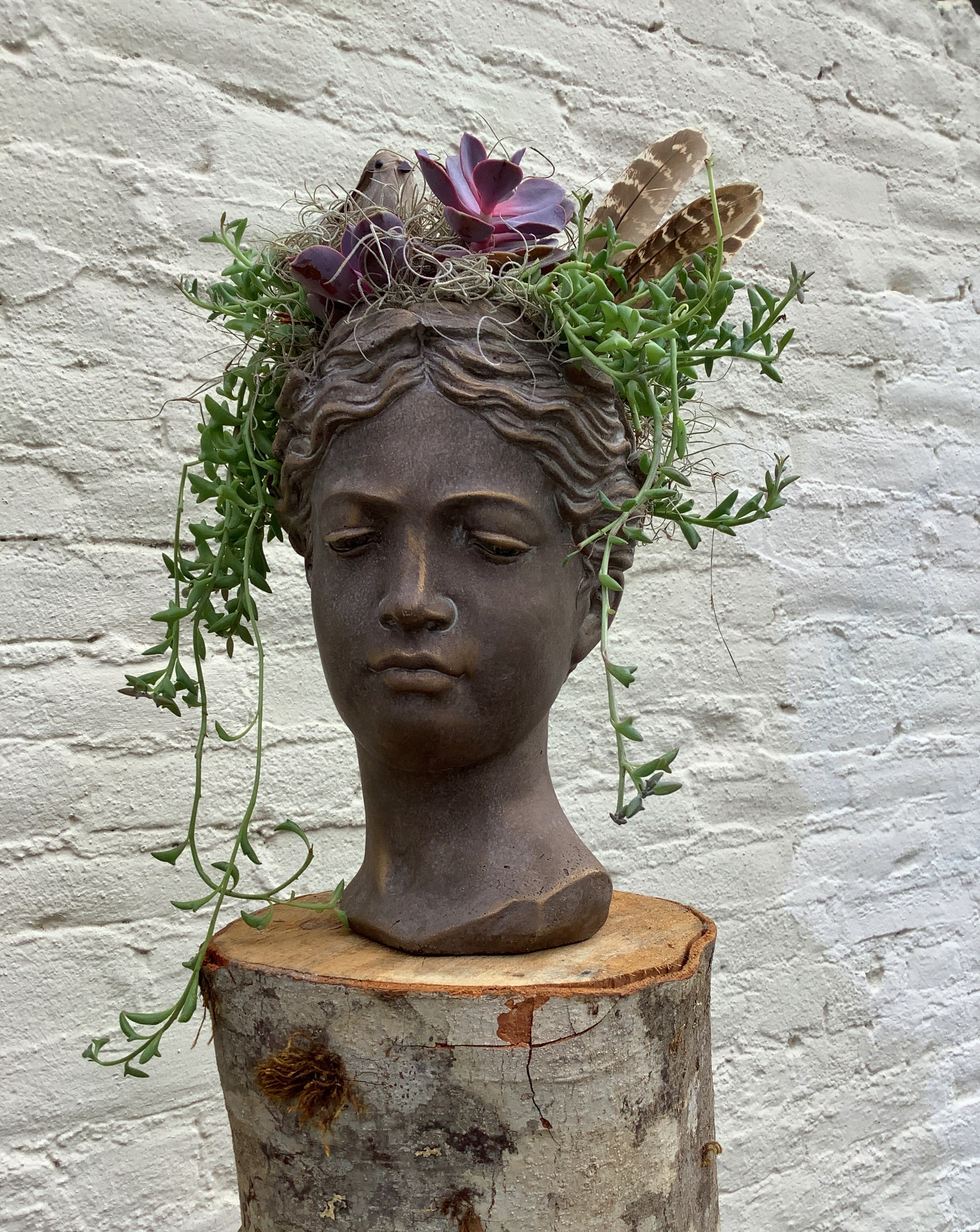 Artemis - The larger of two options, and a recent addition to our signature lady’s bust collection, this arrangement of succulents is designed to last longer than the typical flower bouquet. Featuring rosette and ‘string of banana’ succulents, and a decorative addition of feathers, birds, or seashells. Named for Artemis, the Greek Goddess of the hunt, wild animals, and vegetation.