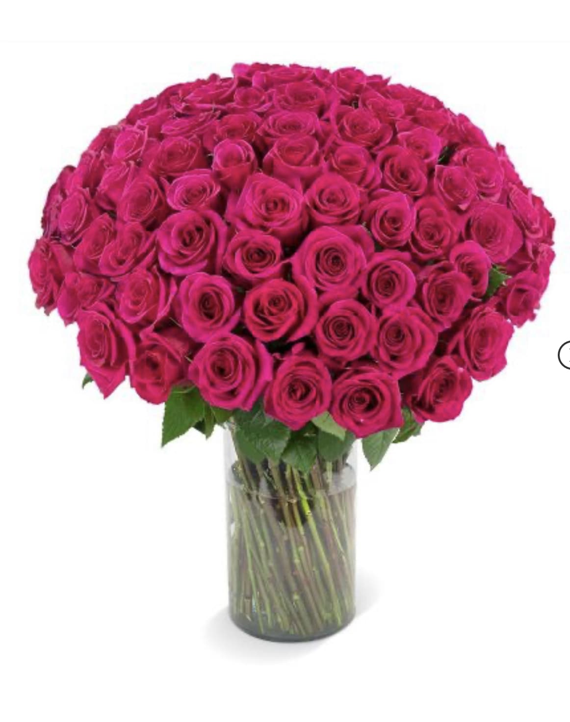 Hot Pink Touch - This vase includes 100 stems fresh cut hot pink .Ecuadorian roses , delivered right to their doorstep a vase-ready bouquet .For other color request or m mixed color roses let us know or call before you submitting the order online ,thank you .