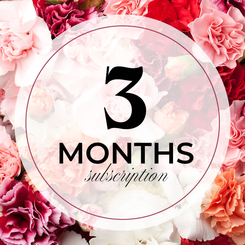 Bi-Weekly Flower Subscription - 3 Months -  All subscriptions include delivery. Paid ahead of time based on the length of subscription purchased. Upgrade to Deluxe or Premium for more stems. Perfect for treating yourself, gifting, and housewarming.  Flowers will be delivered on the 15th of the month.  Delivery Included Using Promo Code: flowersubscription 