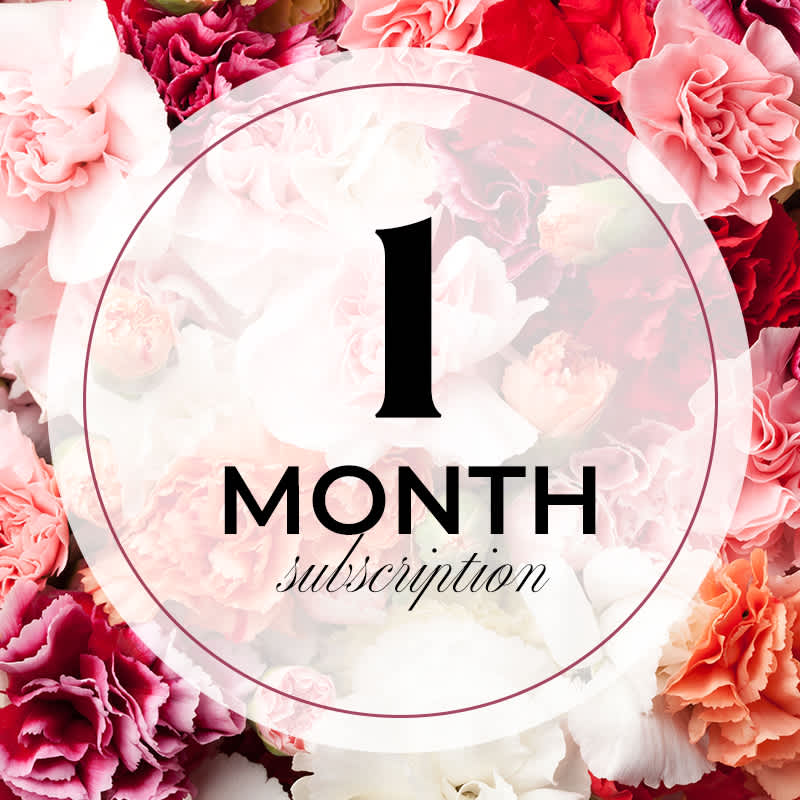 Weekly Flower Subscription - 1 Month - All subscriptions include delivery. Paid ahead of time based on the length of subscription purchased. Upgrade to Deluxe or Premium for more stems. Perfect for treating yourself, gifting, and housewarming.  Flowers will be delivered on the 15th of the month.  Delivery Included Using Promo Code: flowersubscription 