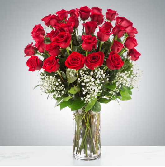 Grandeur Long Stem Rose Arrangement by BloomNation™ Grandeur Long Stem Rose Arrangement by BloomNation™ - Go big with your love. Send the most extravagant 3 dozen red rose arrangement for Valentine's day, anniversary celebrations, or declarations of love. This luxury arrangement makes a big statement of "I love you" in 36 roses. Approximate Dimensions: 20"D x 32"H