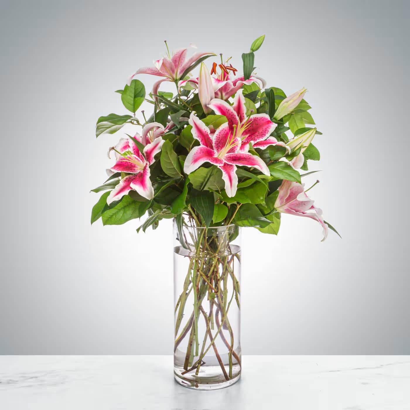 Splendent Stargazers by BloomNation™ Splendent Stargazers by BloomNation™ - Pink lilies stand for love, admiration, compassion, and femininity. Send this sweet-smelling lily arrangement for Mother's Day, Women's Day, or an Anniversary. 1st Image: Standard 2nd Image: Premium