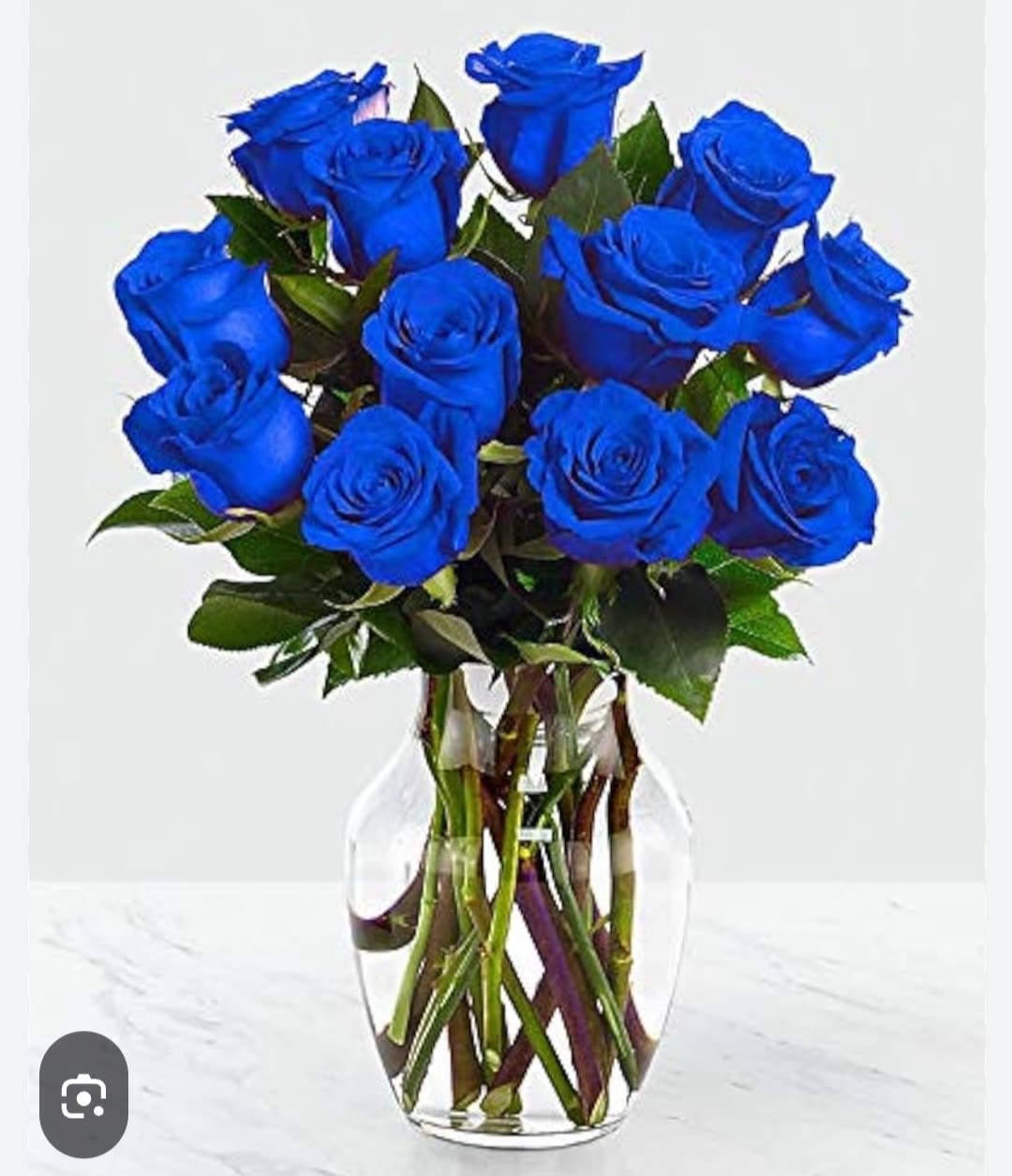 12 BLUE ROSES - 12 BLUE ROSES IN BASE