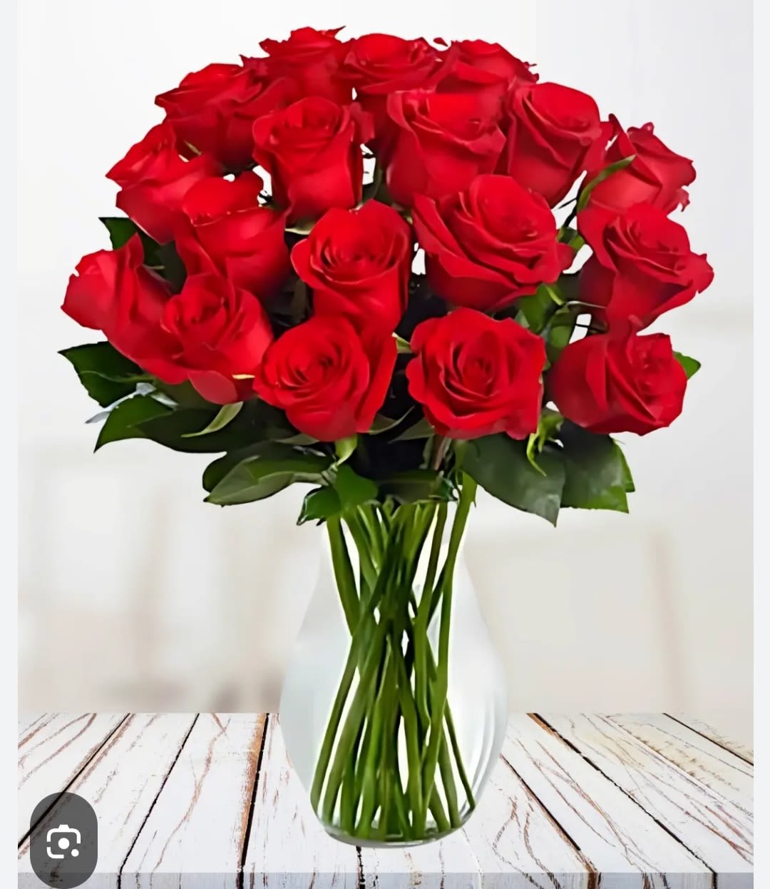 24 RED ROSES - 24 RED ROSES IN BASE